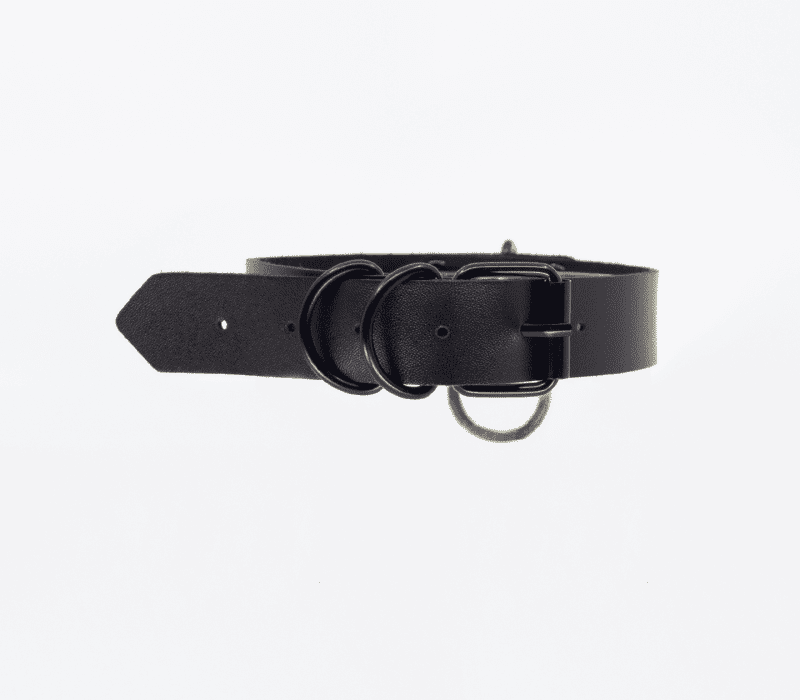 vegan bondage collar with black ring passionfruit 2